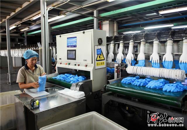 產(chǎn)學(xué)研一體化為翼，丁腈手套海外市場熱銷調(diào)查