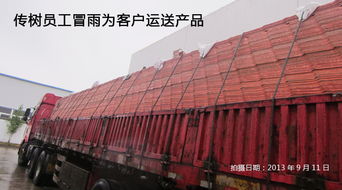 傳樹建材 引領綠色建筑新風尚——探索新型環保建材超強聚酯瓦